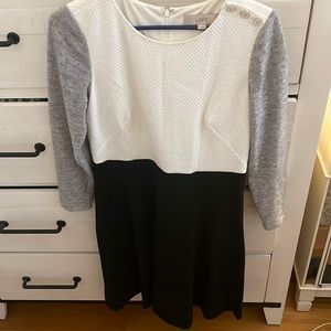 Loft long sleeve dress